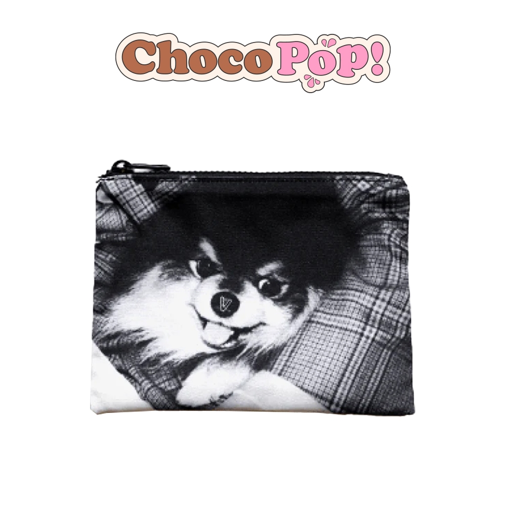 BTS V - [ LAYOVER ] REVERSIBLE POUCH
