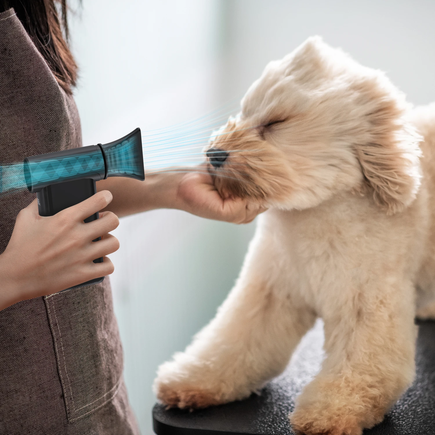prod_6a97aab9e19aa2.18769521.webp