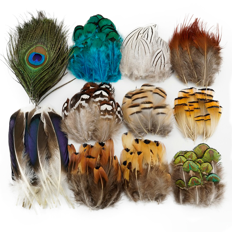20Pcs Artificial Peacock De Penas De Natural Avestruz Para Trabalho Com Agulhas Artesanato Cabeleireiro Pequena Decoraç
