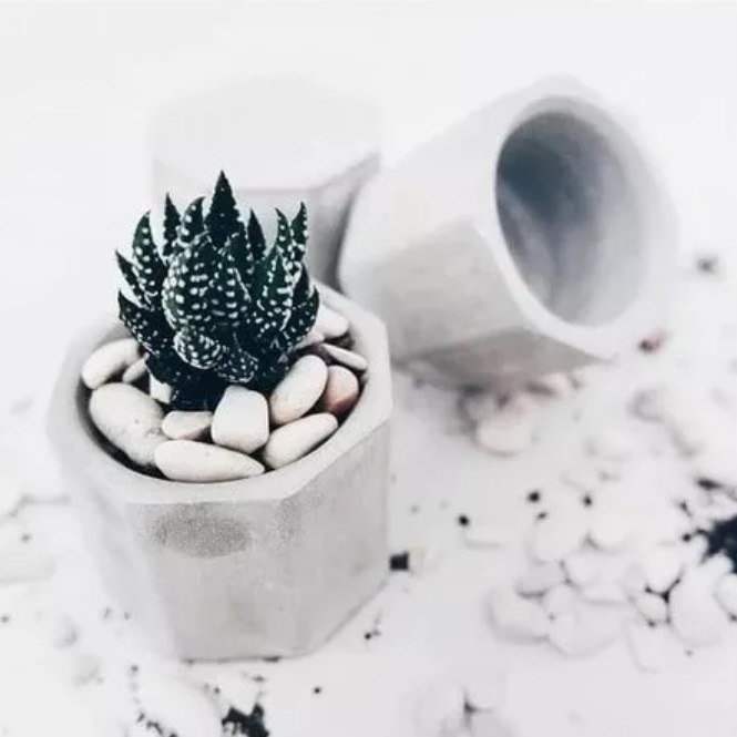 Mini Vaso MAE para Suculentas MT MALEOGA - 3 PÇS