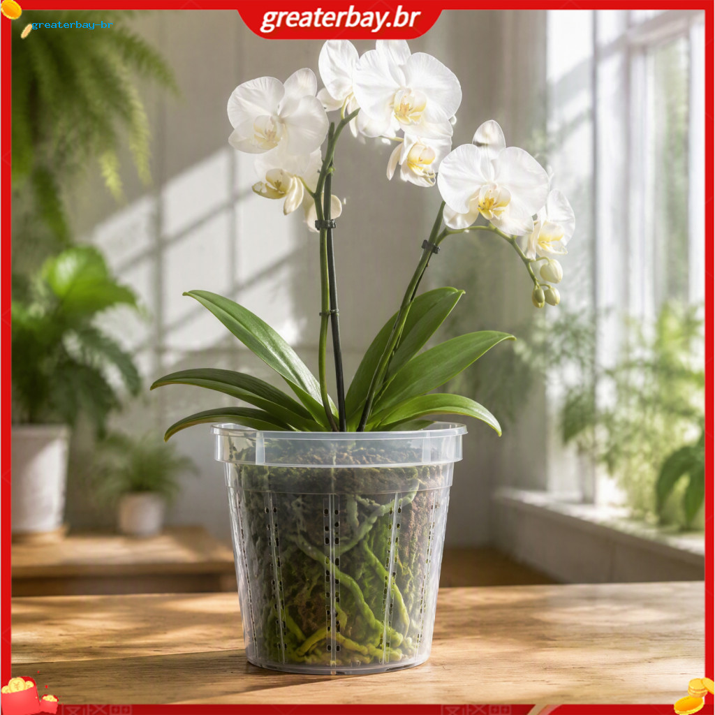 Phalaenopsis Orchid Plastic Pot with Drainage Holes Root Control Breathable Slotted Design for Healthy Indoor Plant Grow