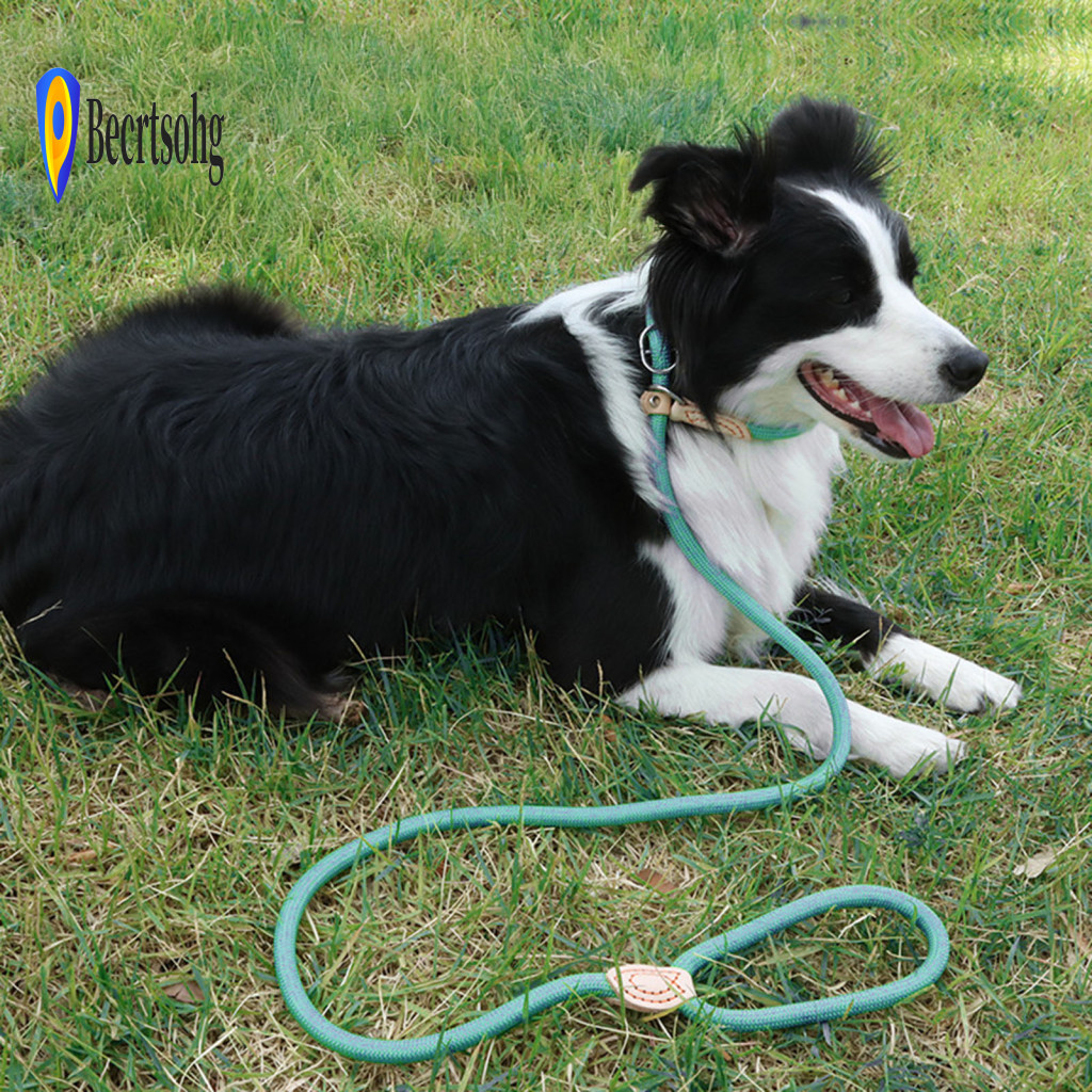Dog Leash for Dogs Pet Heavy Duty Nylon Slip for Medium – No Pull Training Rope for Walking Control Durable and Comfor