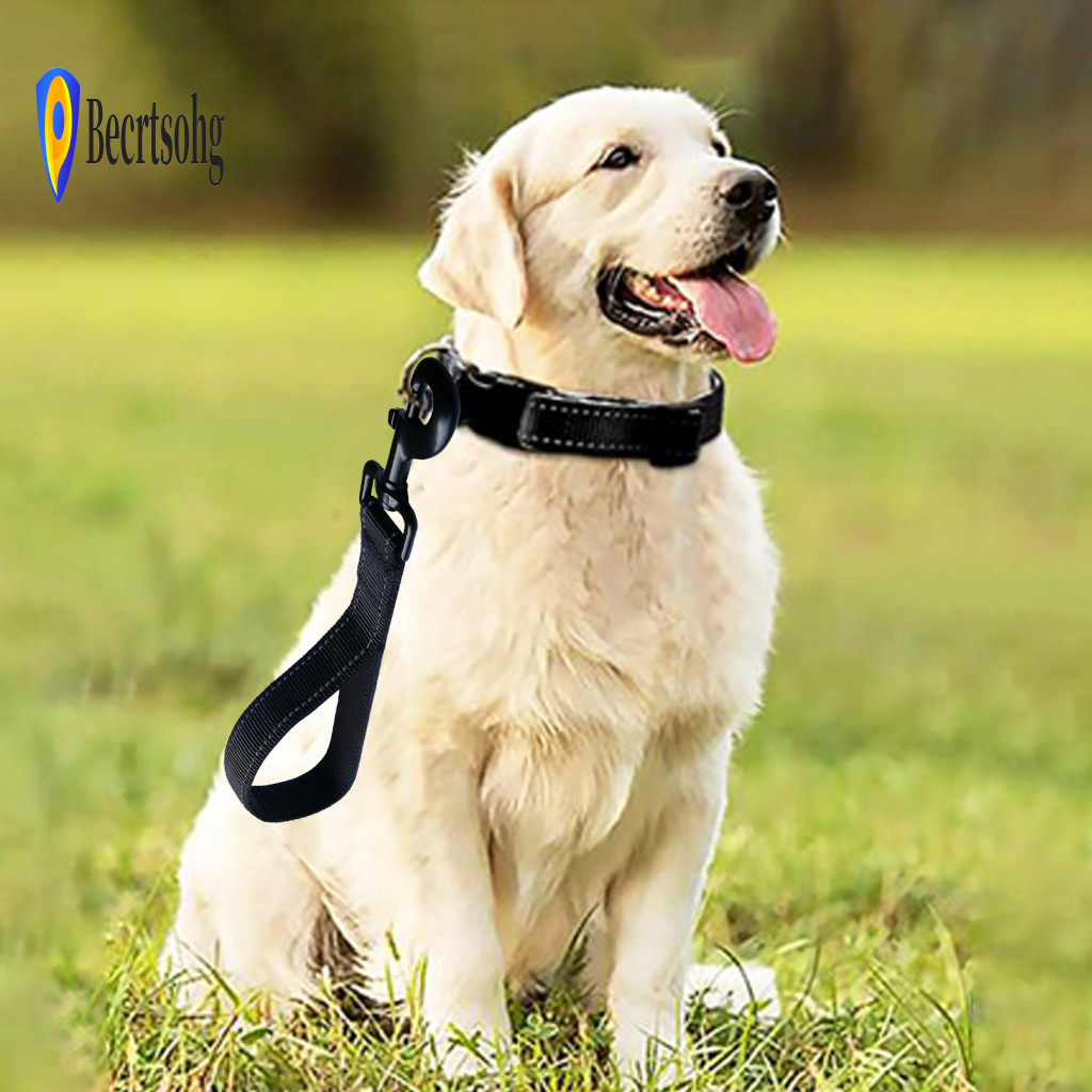 Dog Leash with Short Handle Durable Pet 12 Traffic Padded – Heavy Duty Nylon Training Walking Lead Traction for Small