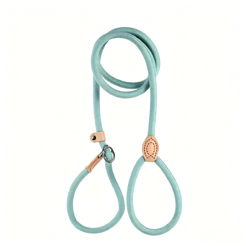 P Corda P Corrente à prova de explosão Punch Training Dog Walking Rope resistente a tração