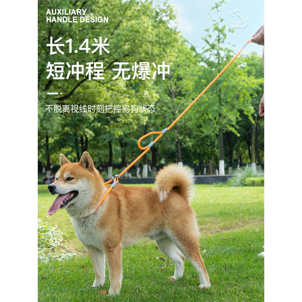 Coleira para cães à prova de explosão Okinawa Training Dog Leash Grande Médio Pequeno Dog P Leash Golden Retriever Dog W