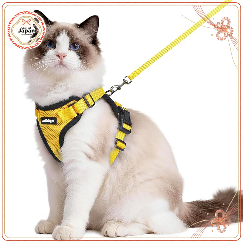Rabbitgoo Cat Harness Lead Set - Lightweight, Adjustable (Gray S)【Direct from Japan】