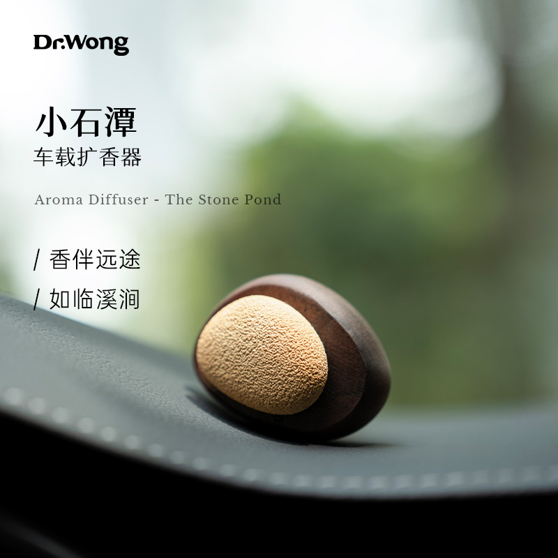 Dr. Wong {Small Shitan} Difusor de carro Decoração de carro Decoração de planta Óleo essencial Aromaterapia Difusor de m