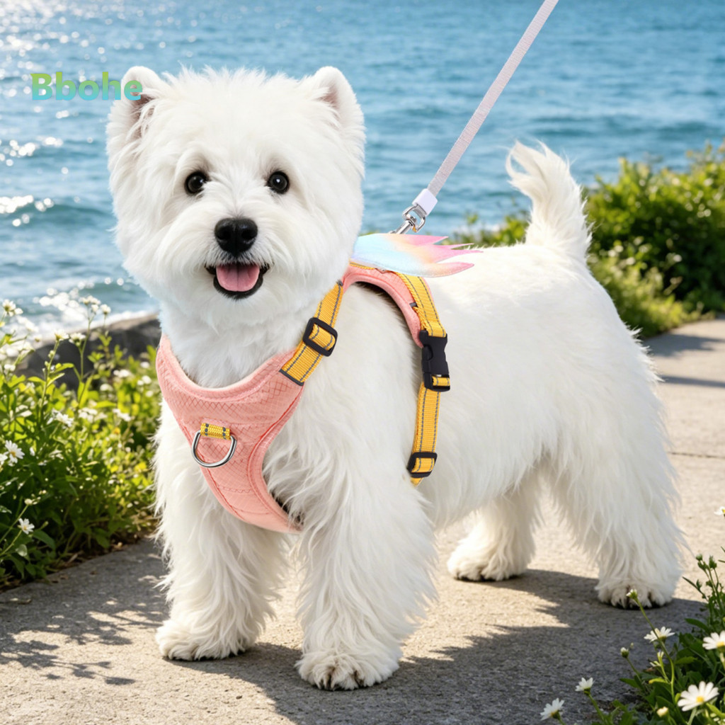 Breathable Dog Vest Adjustable Pet Harness No Pull with 5ft Leash Reflective Handle Cute Colorful Wings Design for Small