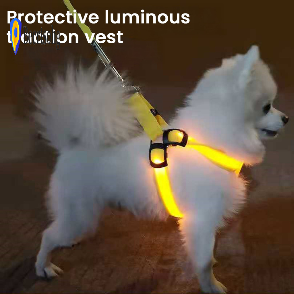 Flashing Dog Harness Led Pet Usb Rechargeable with 3 Light Modes Adjustable Glow-in-the-dark Safety Vest for Medium Dogs