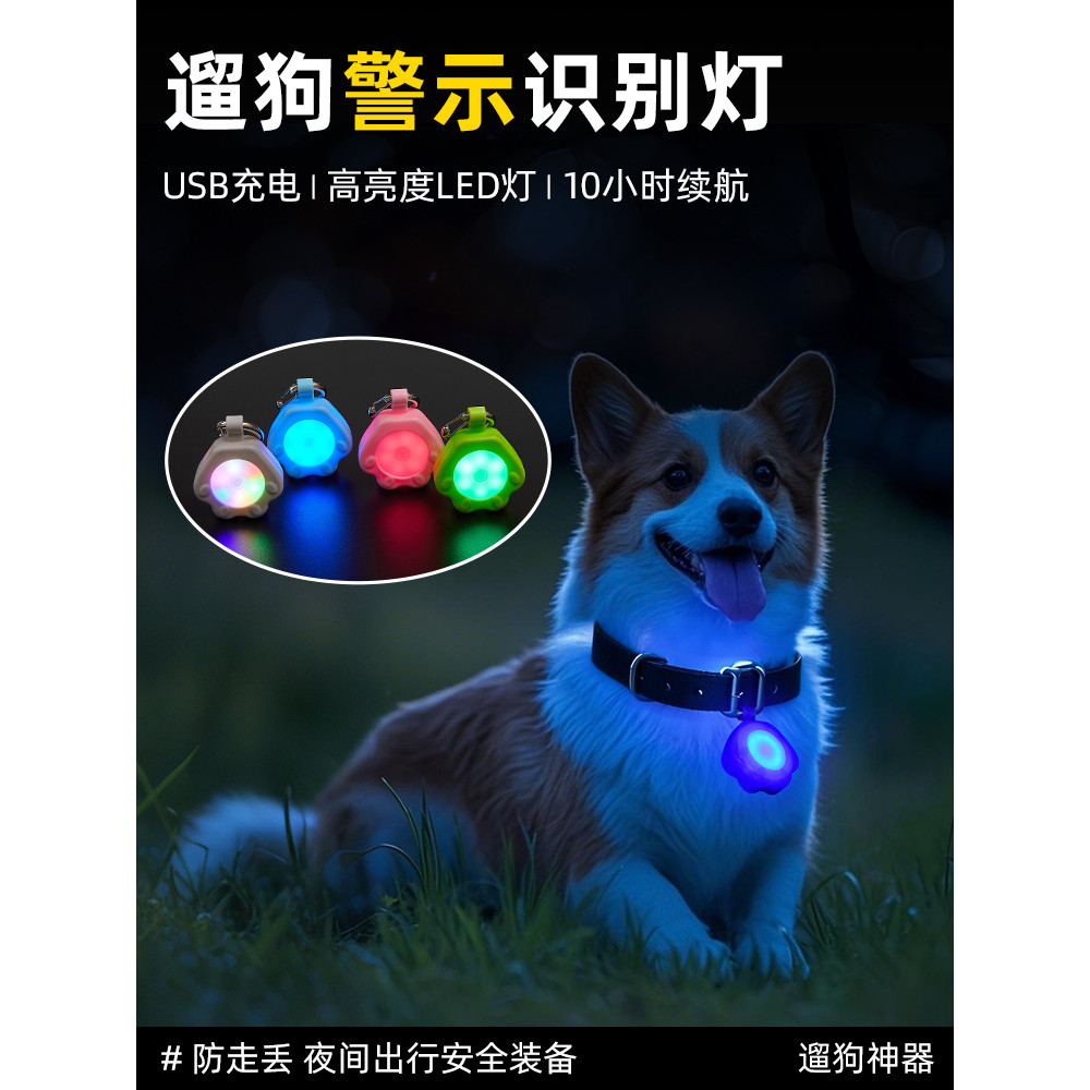 Coco Hani Dog LED Luz Anti-Perda Noite Caminhada Cão Noite Segurança Suprimentos para Animais de Estimação Luz Indicador