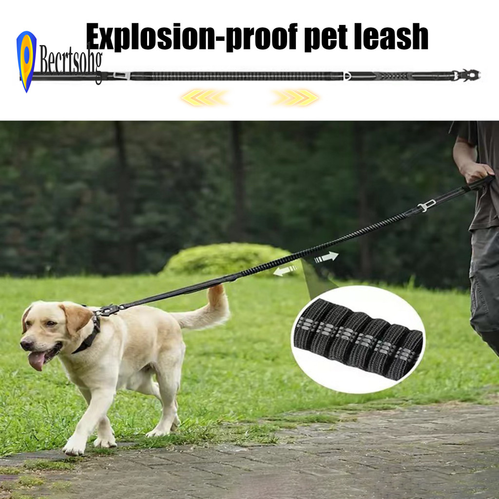 Pet Leash with Multi-purpose Handle Tactical Elastic Rope Heavy Duty Reflective No-pull Bungee Dog Double Frog Clip –