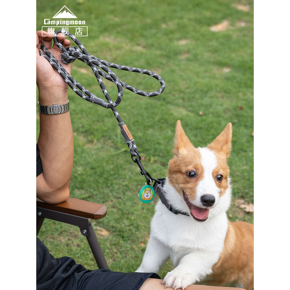 Coman Dog Walking Handy Tool Pet Plug Floor Nail Outdoor Dog Rope Camping Resistente ao desgaste Resistente à sujeira Po