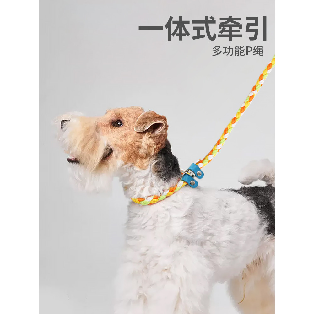 UFHome Cross-Body Dog Walking p-Rope Trela Ajustável Colorida Trançada Coleira Coleira Integrada para Cachorro