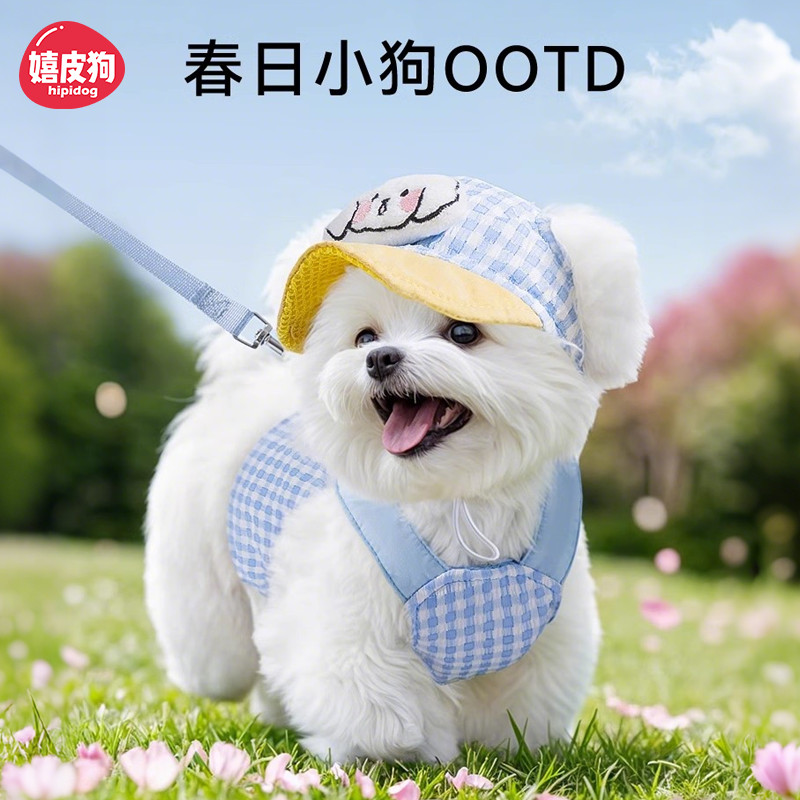 Hippie Dog Pet com Chapéu Roupas para Cachorro Colete com Fato de Tração Break Free Teddy Bichon Dog Walking Leash