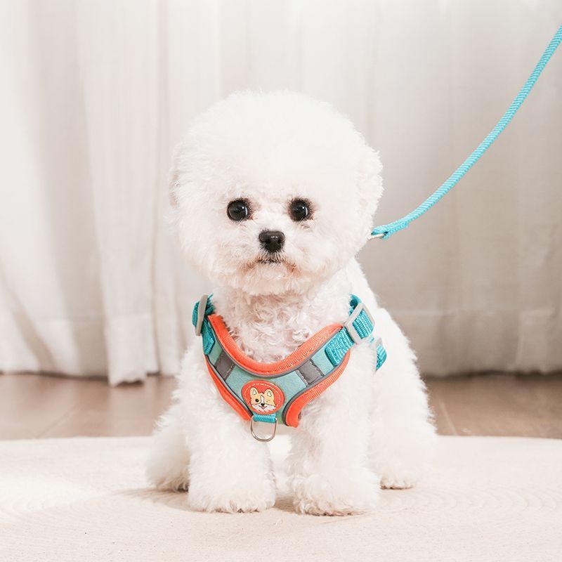 Colete tipo trela para cães pequenos Teddy French Fighting Corgi Ultra Small Dog Walking Dog Chest Strap