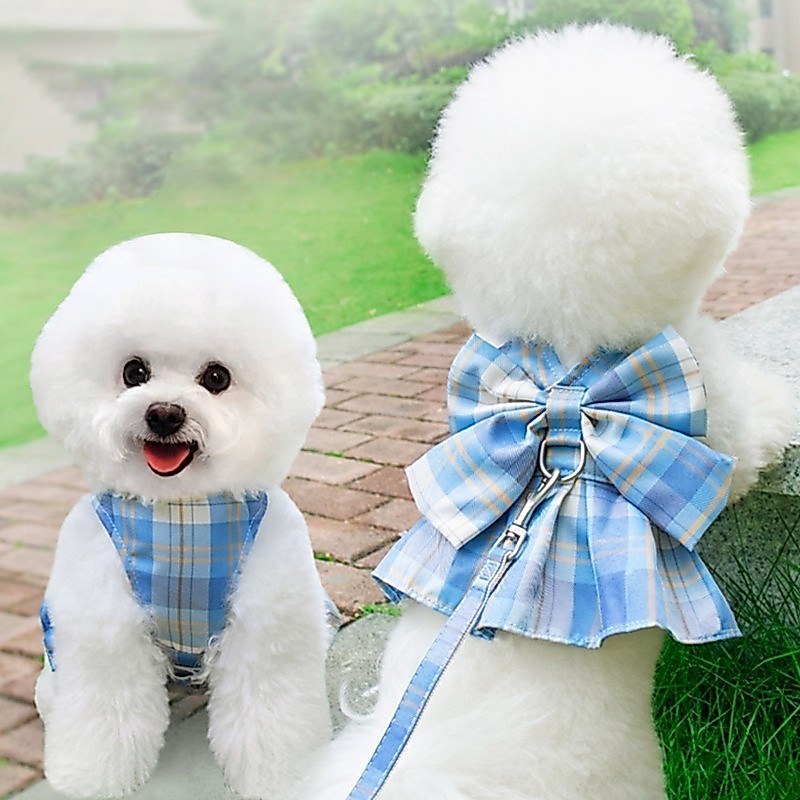 LIVI Pet Walking Chest Wrap Para Cães Pequenos A Médios Princesa Dog Arreios Vestido