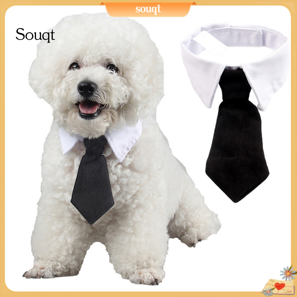 Pet Necktie Adjustable Bright Color Fastener Tape Closure Stylish Collar for Dogs Cats Cute Accessory Perfect for Small