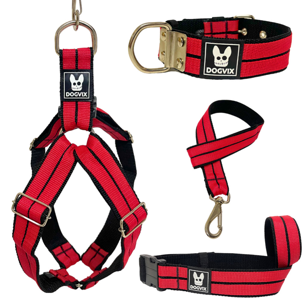 Kit Coleira + Peitoral + Guia + Focinheira Cor Flamengo Ajustável Confortável Pitbull Pet Dog