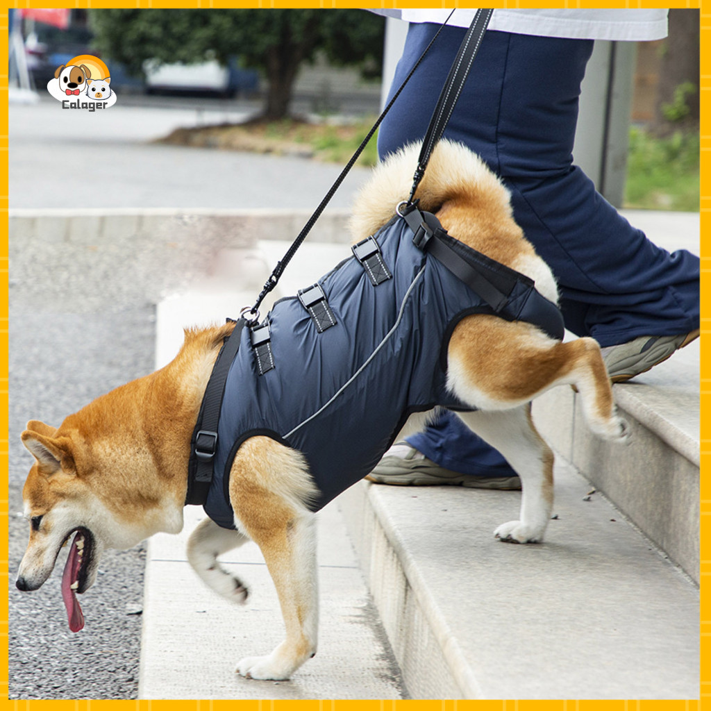 Rheumatism Support Dog Harness Lift for Elderly Dogs Adjustable Comfortable Breathable Sling for Old Disabled Arthritic