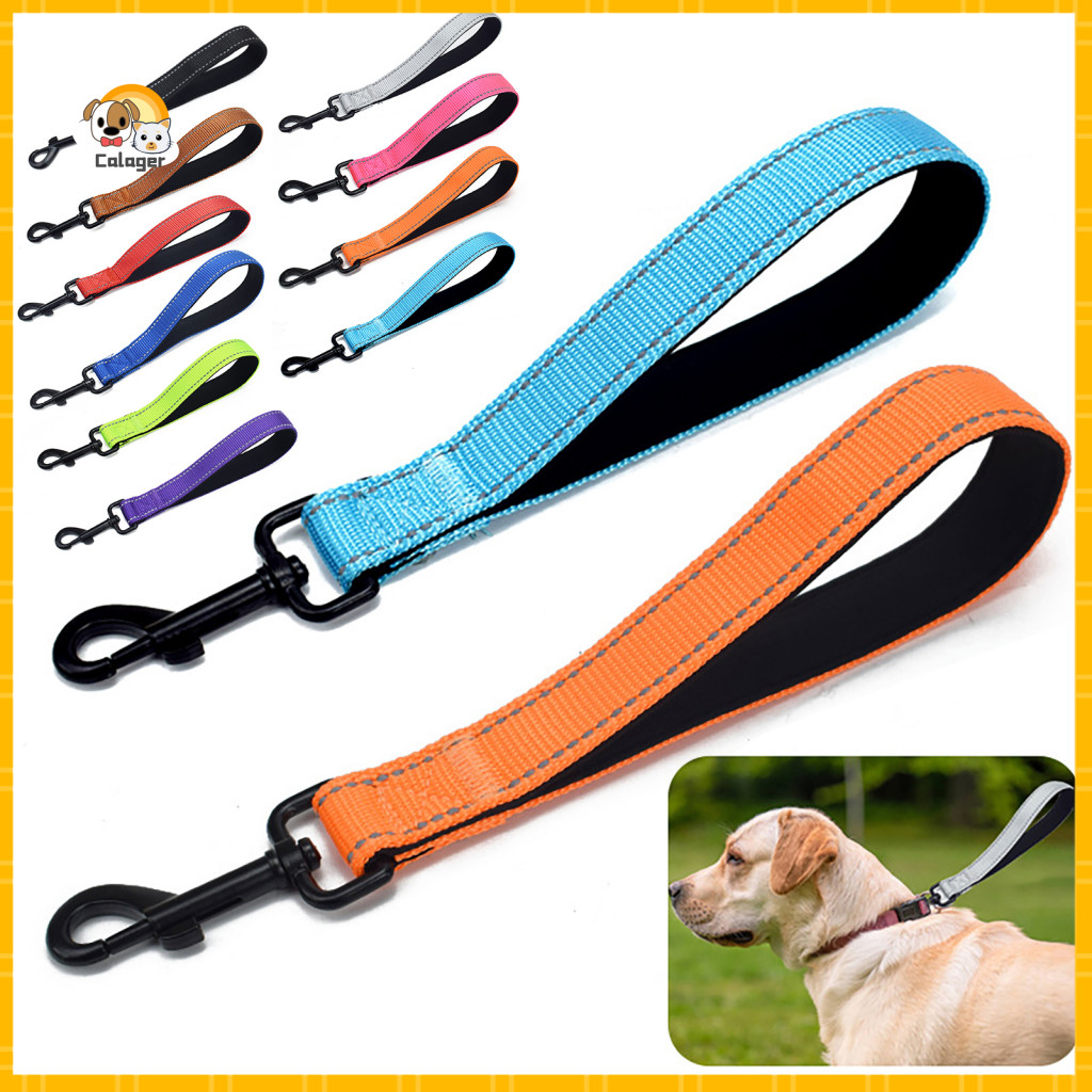 0.9 Inch Wide Dog Leash Comfortable Hand Protection 12 Heavy Duty Reflective with Padded Handle and Carabiner Clip – D