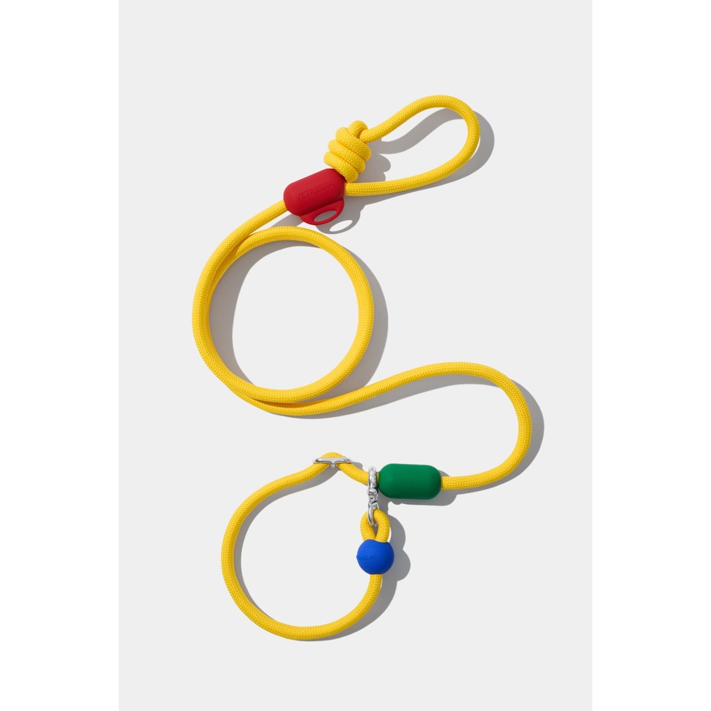 VETRESKA Connect Chroma Hands-Free Rope Leash for Pets