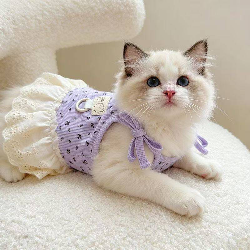 Roupas De Gato Primavera Verão Estilo Fino Floral Estilingue Vestido Pit Strip Tração Ouro Gradie