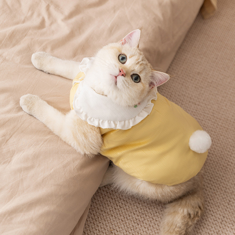 Neural Cat Cor Sólida Pit Strip Coelho Lapela Colete Engrossado Roupas de Gato Roupas para Animais de Estimação