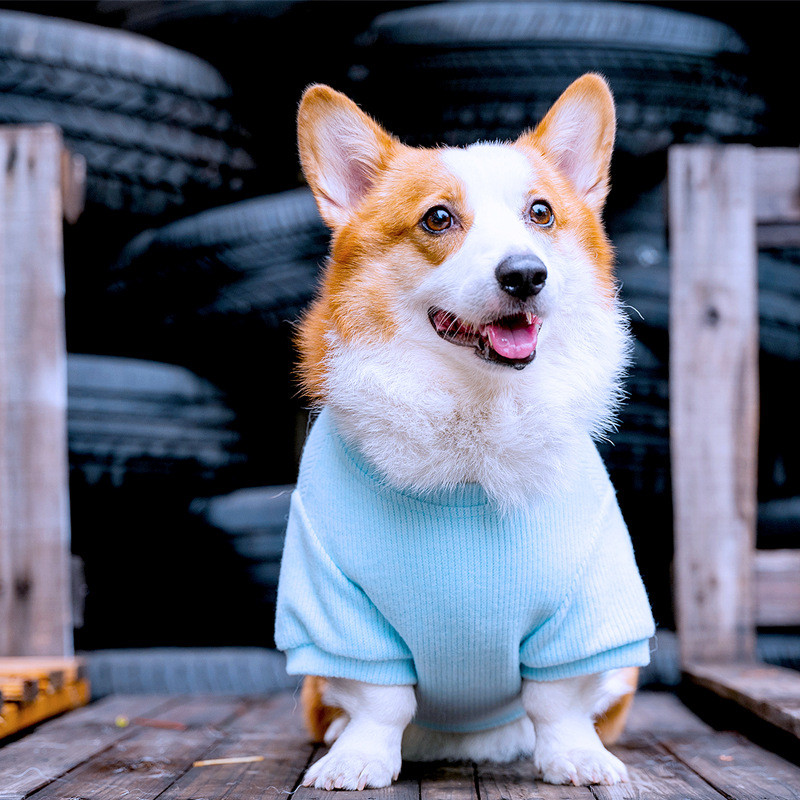 T tigre cão outono inverno roupas Pet Corgi borda Shiba Inu cão de tamanho médio filhote de cachorro Pit Strip camiseta