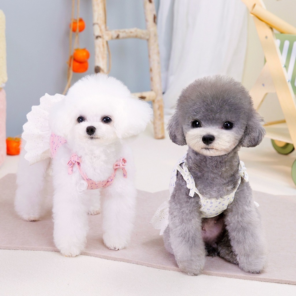 Cão de estimação Floral estilingue saia Pit Strip luz saia pequeno cão verão exterior Wear saia