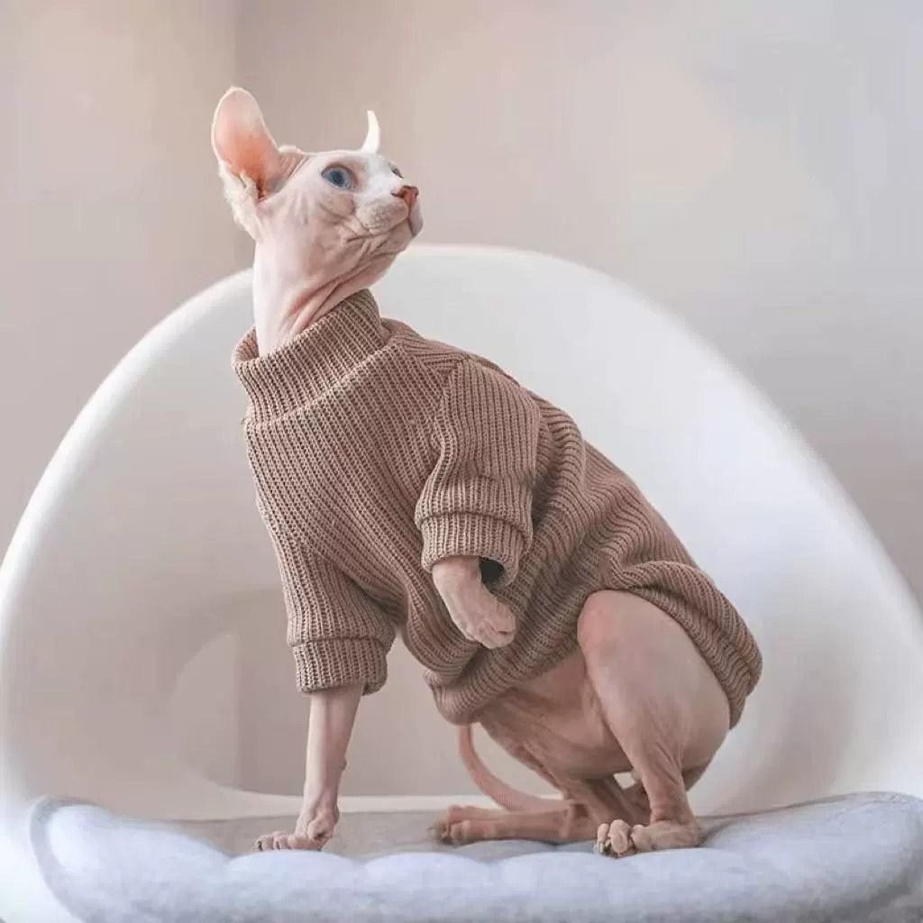 Outono inverno macio pele-amigável sem pele gato devence Finks Pit Strip gola alta estiramento quente camisa de fundo An