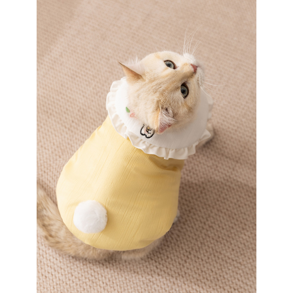 Roupas de gato Pit Strip coelho lapela colete britânico curto americano curto gatinho outono inverno quente Anti-fiapos