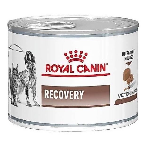 Ração Royal Canin Veterinary Lata Recovery  195g
