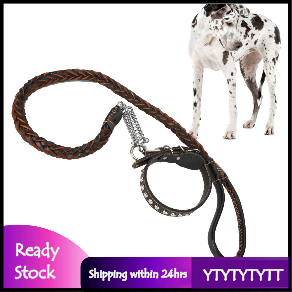 Ytytytytt aqxreight Dog Walking Le com coleira para animais de estimação Conjunto antiperda para cães grandes e médios
