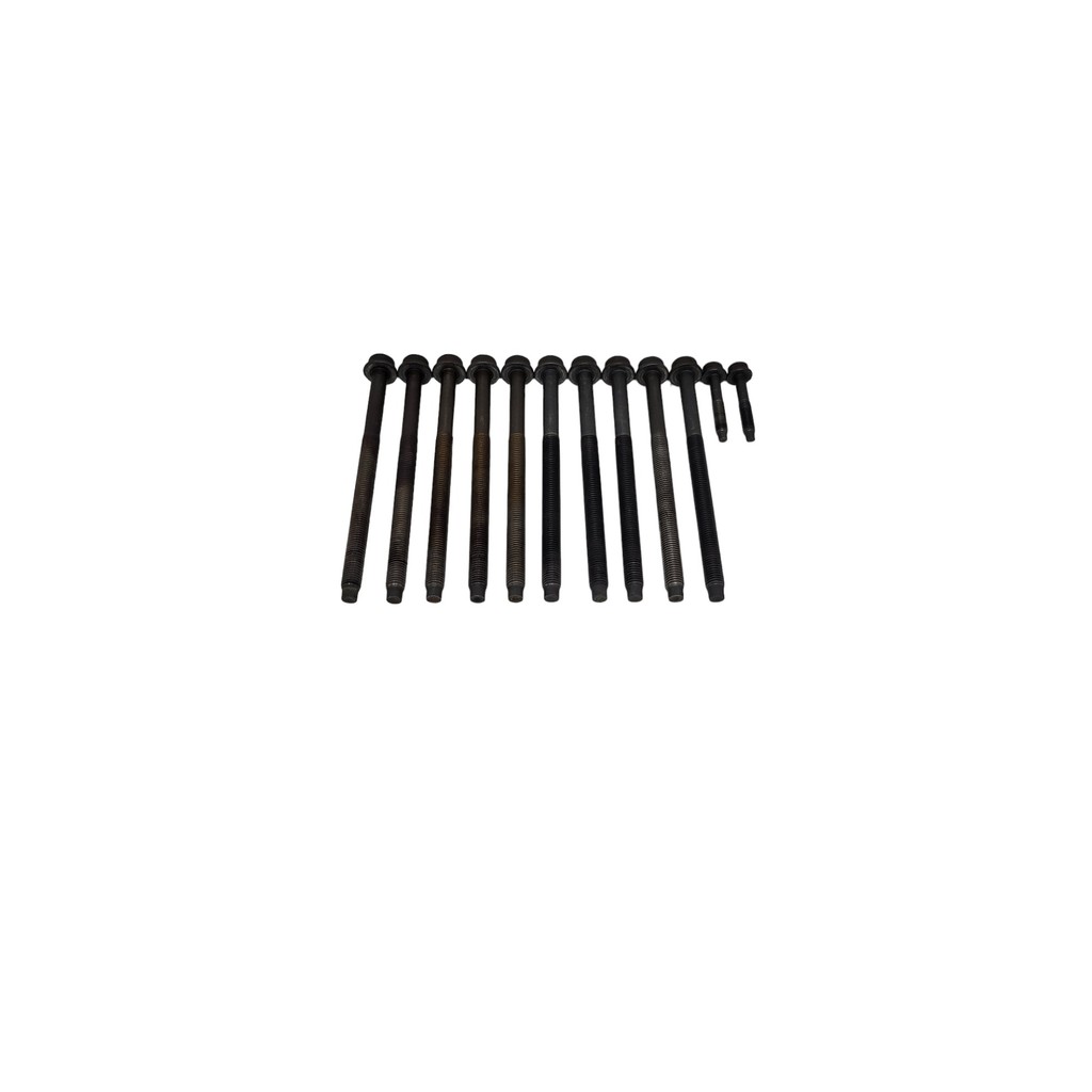 Jogo Parafusos Cabeçote Ford Zetec Rocam 1.6 Original
