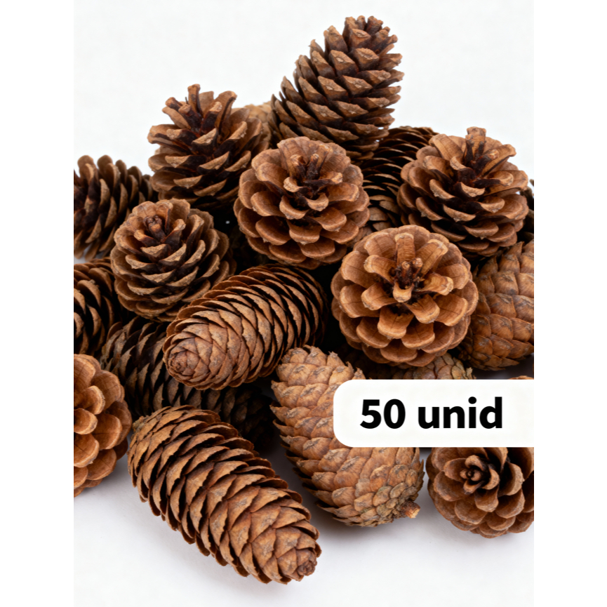 Kit 50 Pinhas Naturais Pinheiro p/ Artesanatos Petz Enfeites Natalinos Christimas