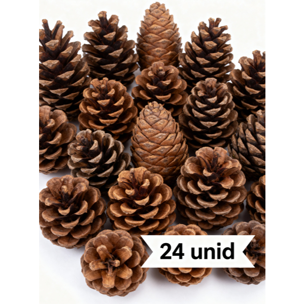 Kit 24 Pinhas Naturais Pinheiro p/ Artesanatos Petz Enfeites Natalinos Christimas