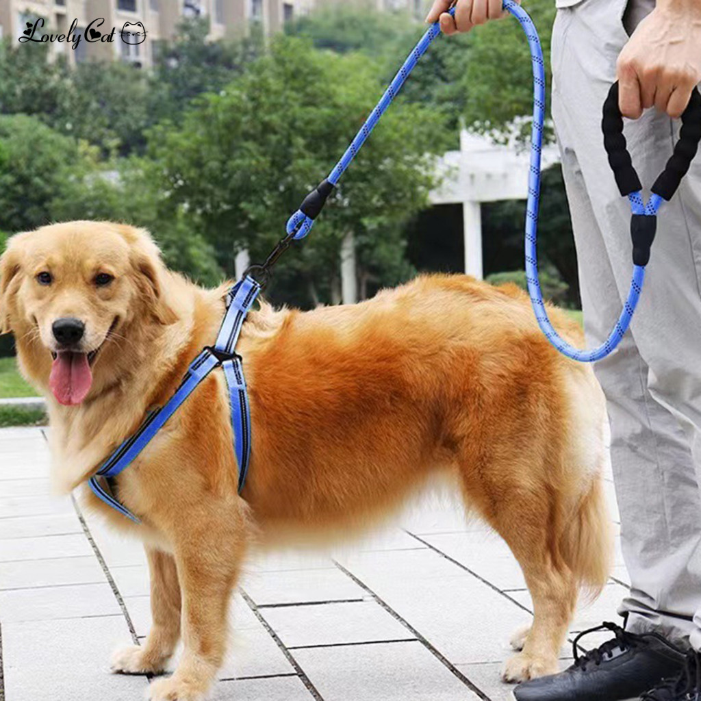 Heavy Duty Dog Leash Nylon Rope with Padded Handle – Durable 5ft 6.5ft 10ft for Small Medium Dogs for Training
