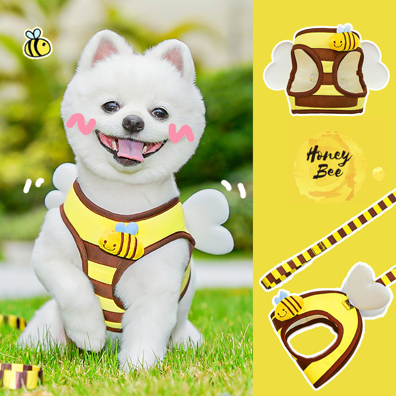 Conjunto De Arnês E Trela Para Animais De Estimação Cute Bee-Colete Sem Puxar Com Asas Cães Pequenos