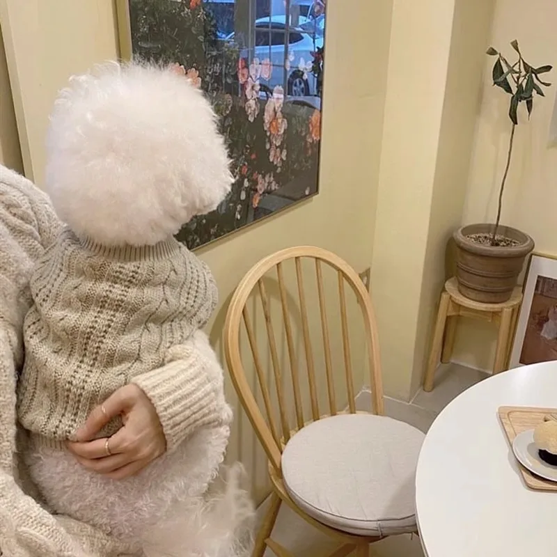 Warm Dog Sweater Solid Color Simple Winter Wool Two-legged Dog Clothing Puppy Teddy For Small Dog Cat Pet Clothes Dog Costume