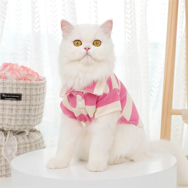 prod_6a97c057ccdc60.82728172.webp