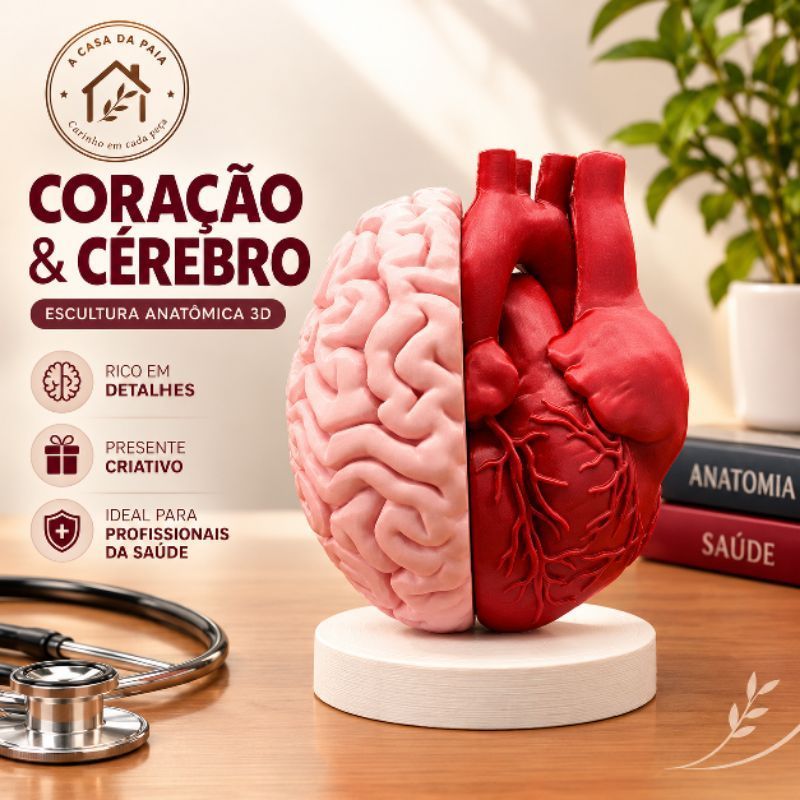 Escultura Anatômica Coração Cérebro | Dualista | Modelo anatomico para Psicologia Neuro Cardio médico psicólogo saúde