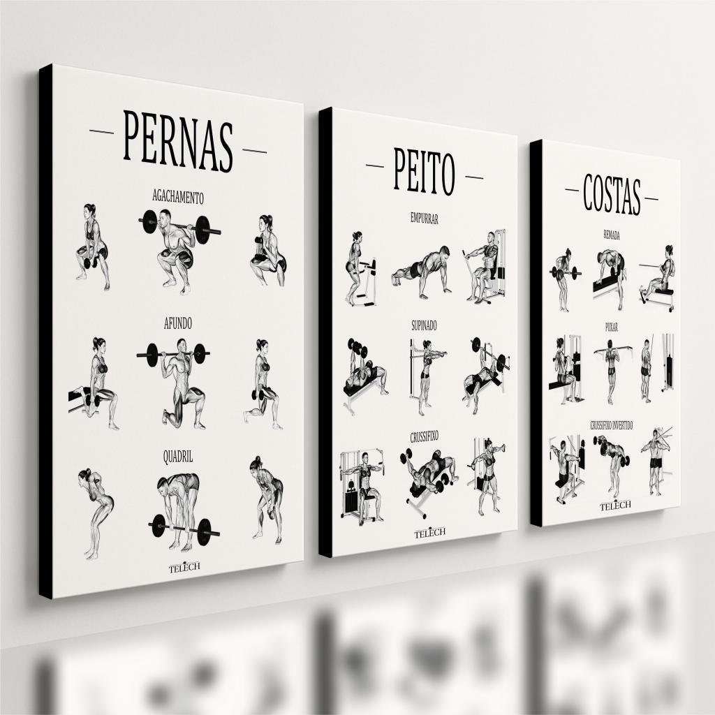 Kit 3 Quadro Decorativo Guia de Exercícios Treino Academia Gym Musculação