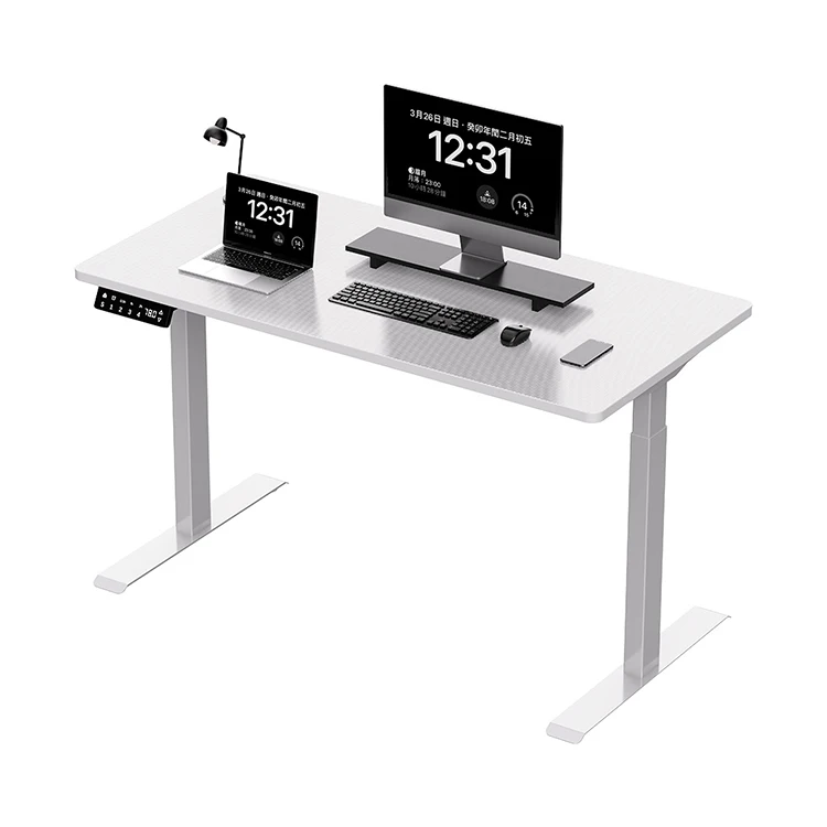 Gaming Home Office L Shape Computer Desk Dual Motor Standing Desk Sit Stand Height Adjustable Electric Desks with LED RGB Light