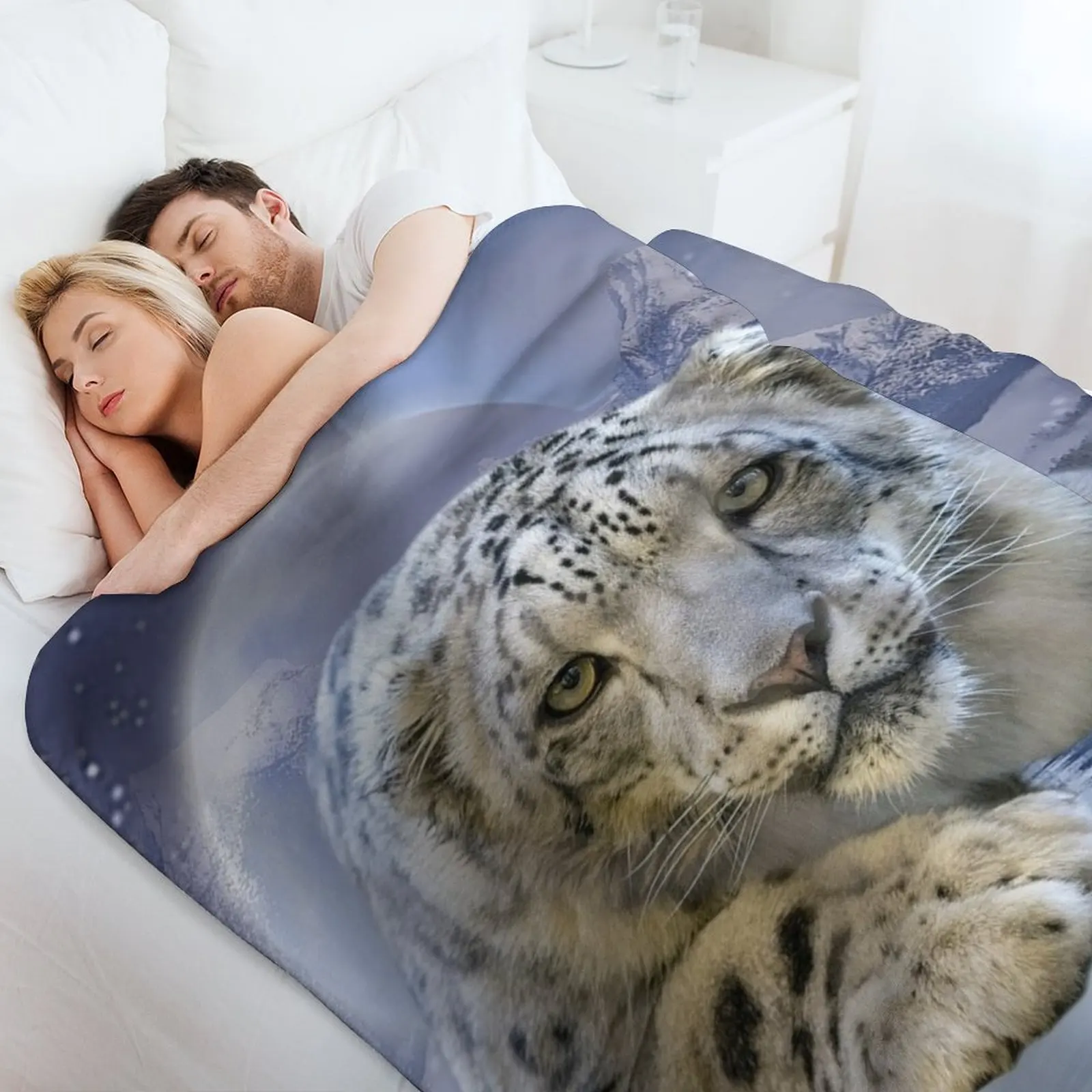 prod_6ad7800f099113.38716086.webp