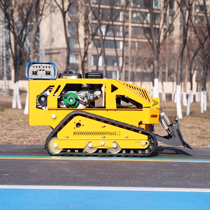 Customized A small professional lawn mower with remote control and flexible functions