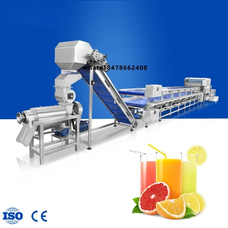 Health Beverage Factory Customizable Fruit Cleaning Juicing Line Industrial Fruit Juice Extraction Process Equipment