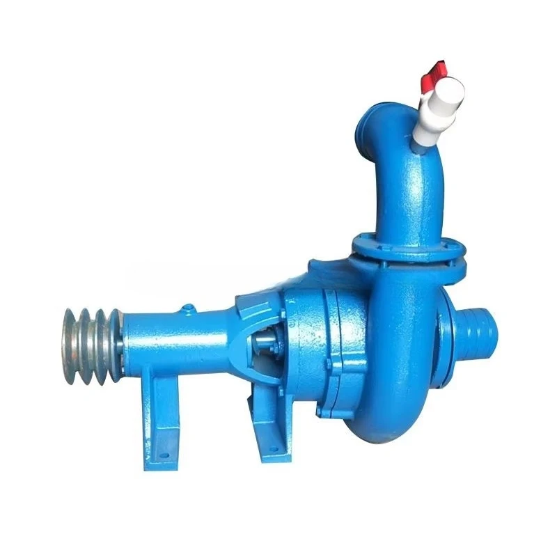 Small Horizontal Sand Suction Pump for Extracting Sediment From Pond and Riverbed