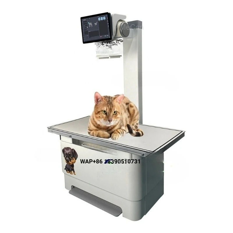 Digital X-ray Machine in Cat Radiography Veterinary Portable X-ray Device Digital X-ray Machine