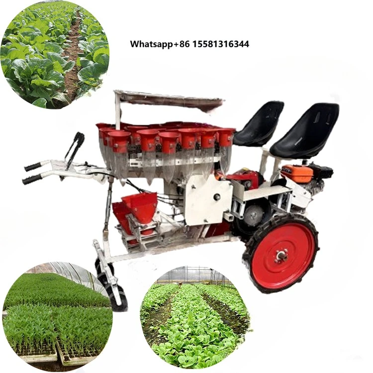 Agricultural 2 Rows Vegetable Seedlings Seeders Transplanter 7.5HP  Powered Automatic Transplanting Machine