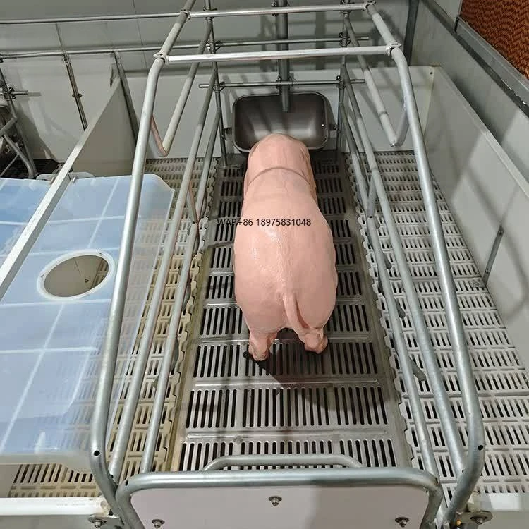 Professional solutions, easy to clean, weaning pens, livestock equipment, pig equipment, for farm upgrades
